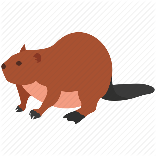 512x512 American, Animal, Beaver, Canada, Eurasian, Fur, Pelt Icon
