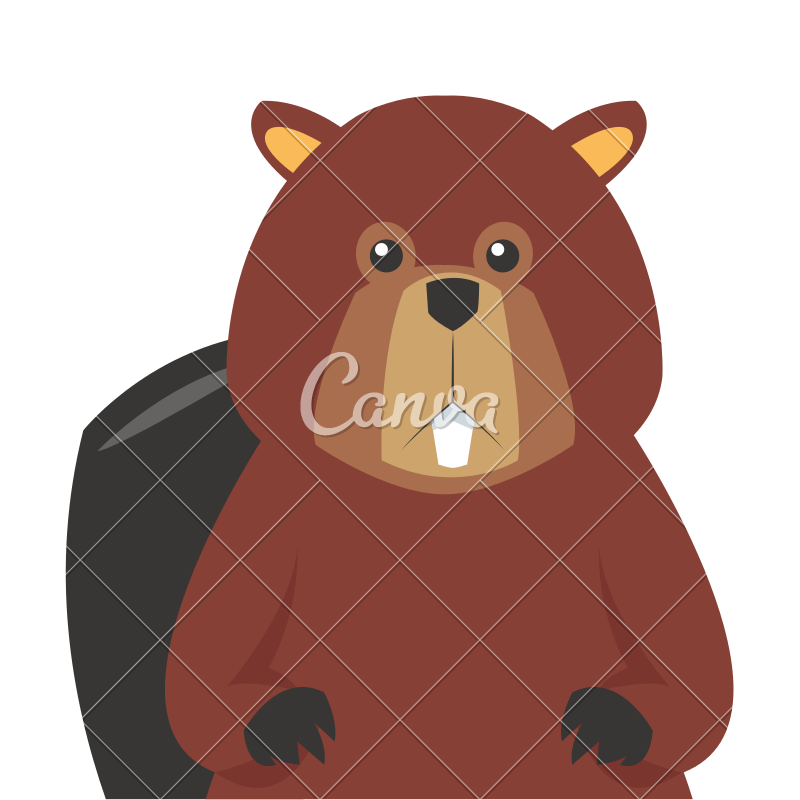 800x800 Single Beaver Icon