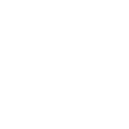 256x256 White Beaver Icon
