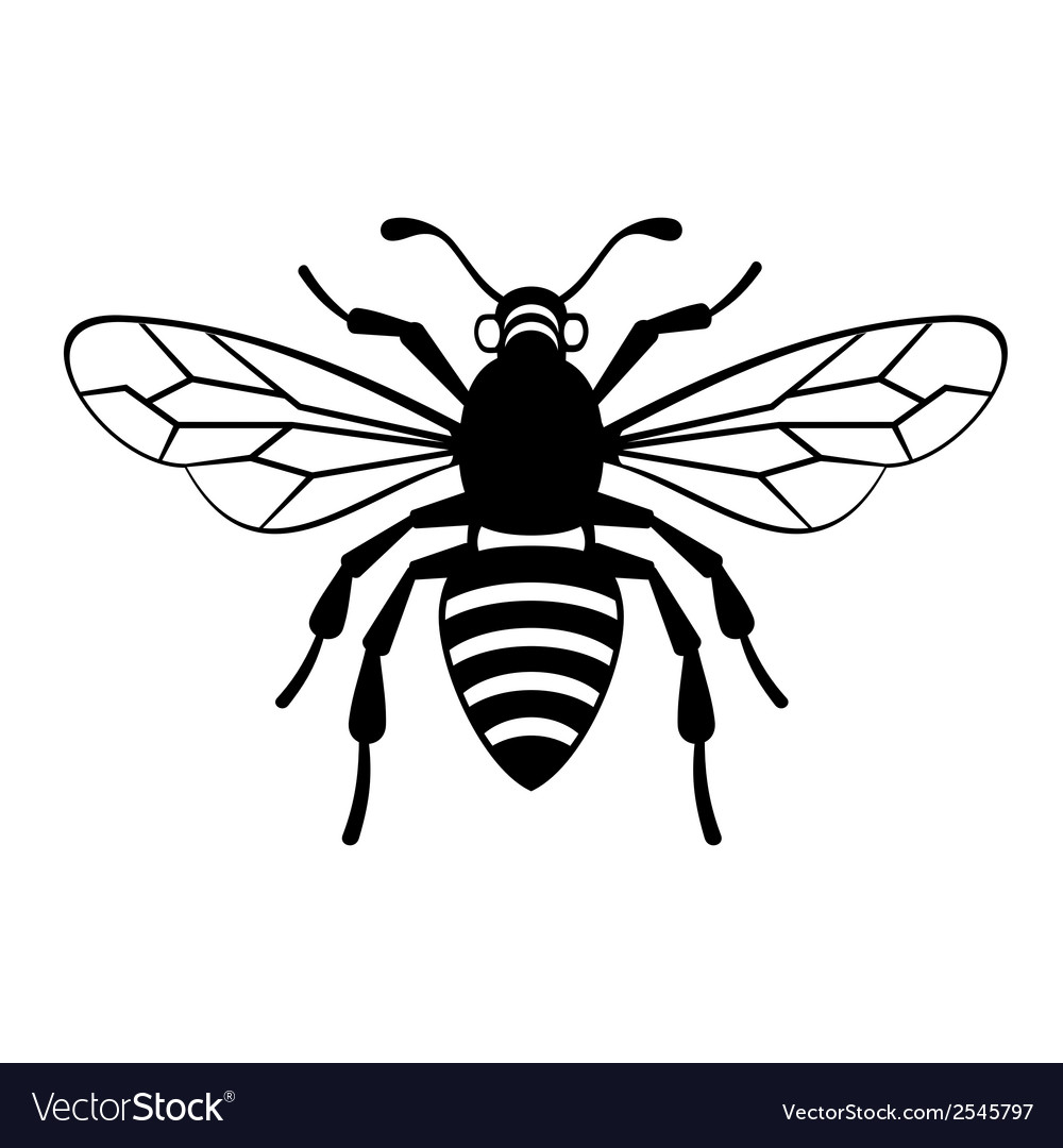 1000x1080 Bee Icon