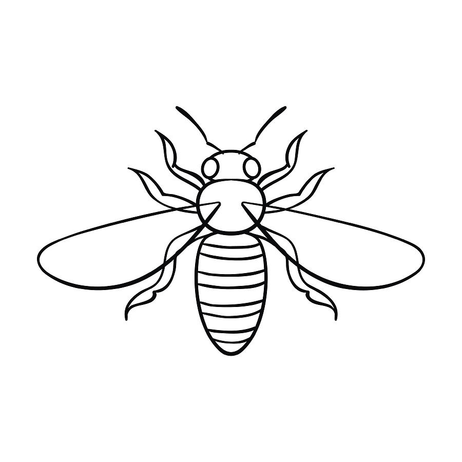 900x900 Bee Icon In Outline Style Isolated On White Background Insects