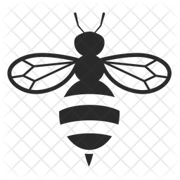 256x256 Honey Bee Icon Of Glyph Style