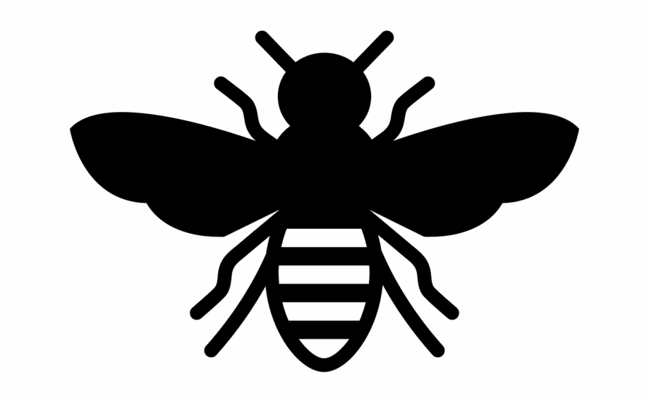 920x571 Transparent Bee Icon, Transparent Png Download For Free