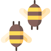 170x170 Bees Bee Png Icon