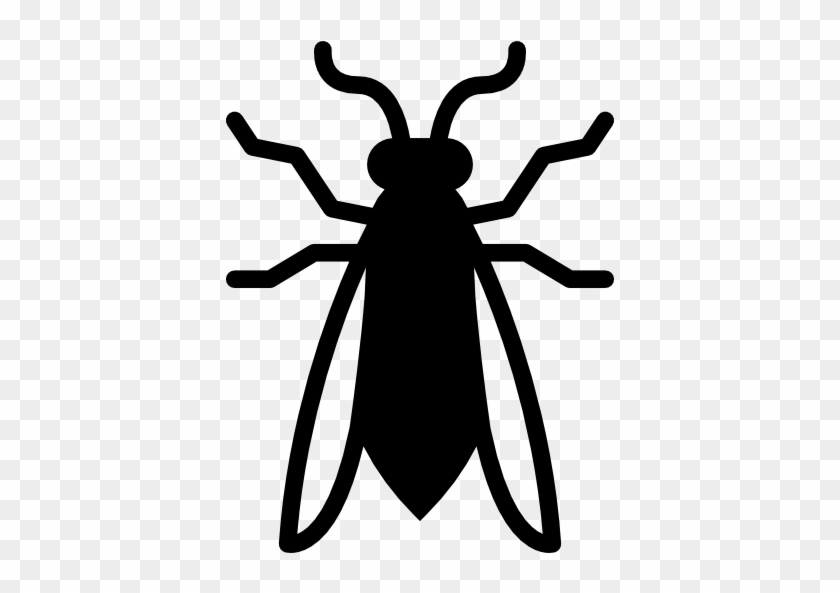 840x593 Wasp Free Icon