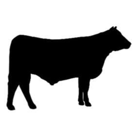 280x280 Beef Icon