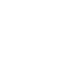 256x256 White Beer Icon