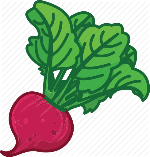 489x512 Beet, Beet Juice, Beet Root, Beet Salad, Vegetables Icon Icon