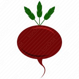 256x256 Beet Icon