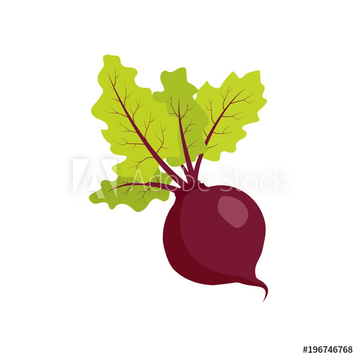 500x500 Beet Icon In A Flat Design On A White Background Vector
