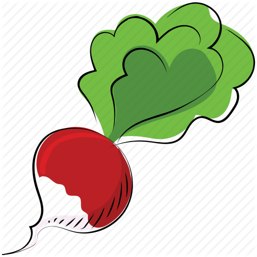 512x512 Beetroot, Beets, Garden Beet, Healthy Diet, Red Beet, Table Beet Icon