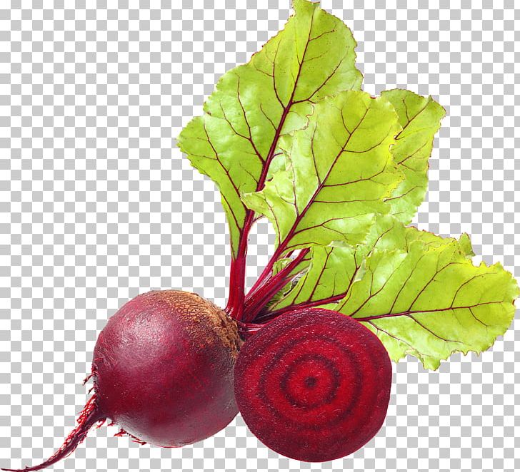 728x662 Beetroot Icon Scalable Graphics Png, Clipart, Beet Png, Chard, Com