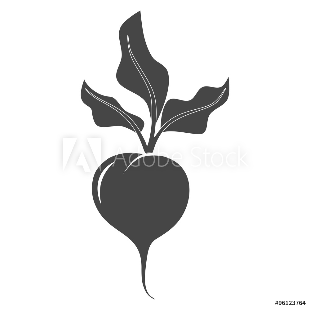 1000x1000 Fotografie, Obraz Sugar Beet Icon Posters Cz