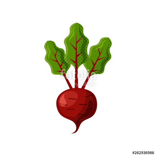 500x500 Fresh Juicy Veg