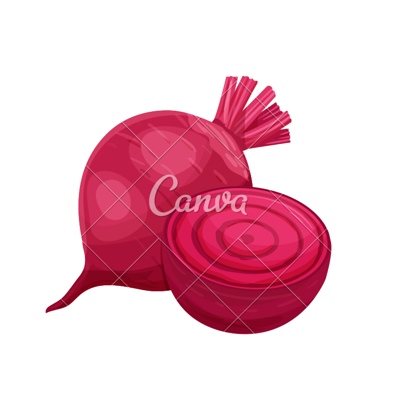 800x800 Vector Beet Icon
