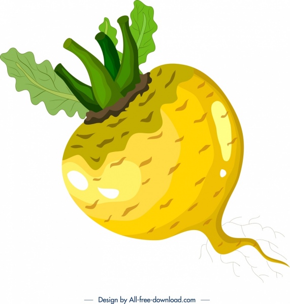 571x600 Vegetable Background Beet Icon Multicolored Design Free Vector