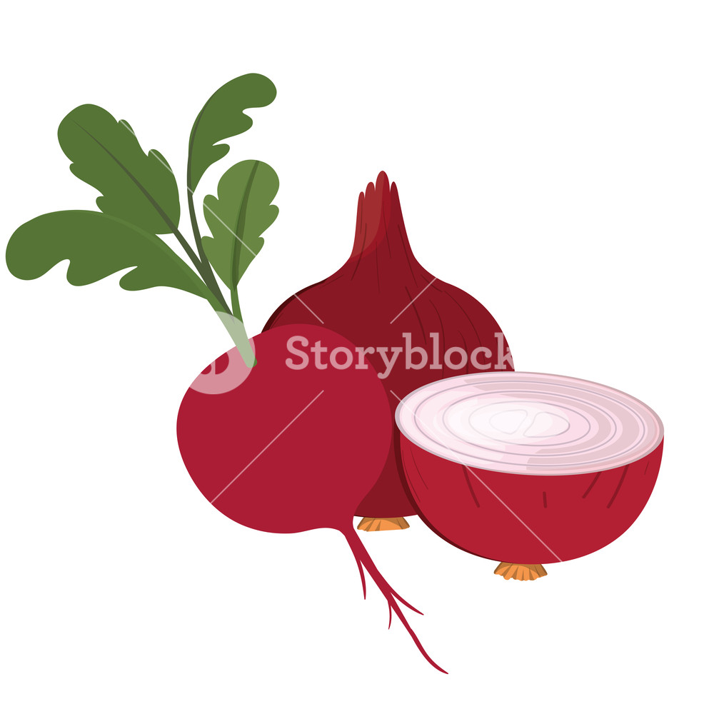 1000x1000 Beautiful Beet And Egg Onion Isolated Icon Vector Illustration