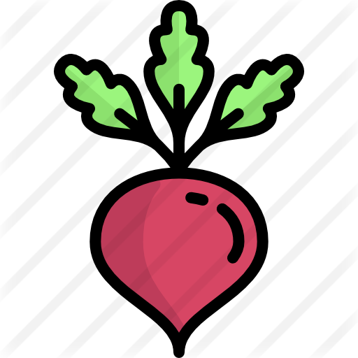 512x512 Beet