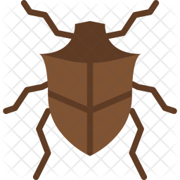 256x256 Beetle Icon Of Flat Style