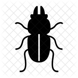 256x256 Beetle Icon Of Glyph Style