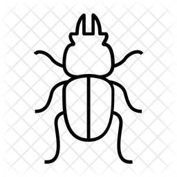 256x256 Beetle Icon Of Line Style