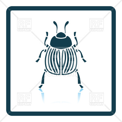 400x400 Shadow Reflection Design Of Colorado Beetle Icon Vector Image