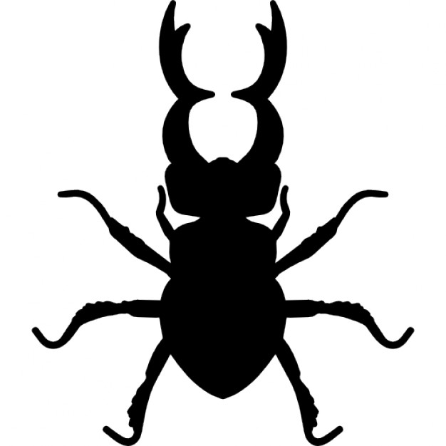 626x626 Vector Beetle Free