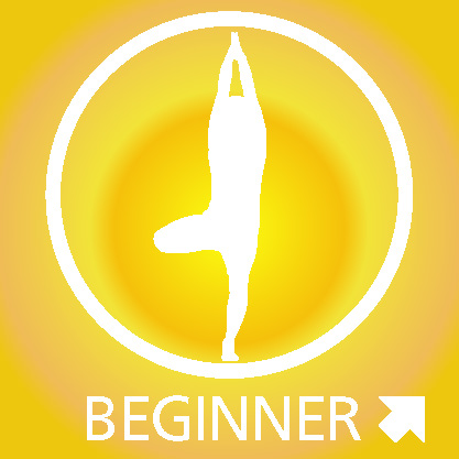 417x417 Beginner Icon