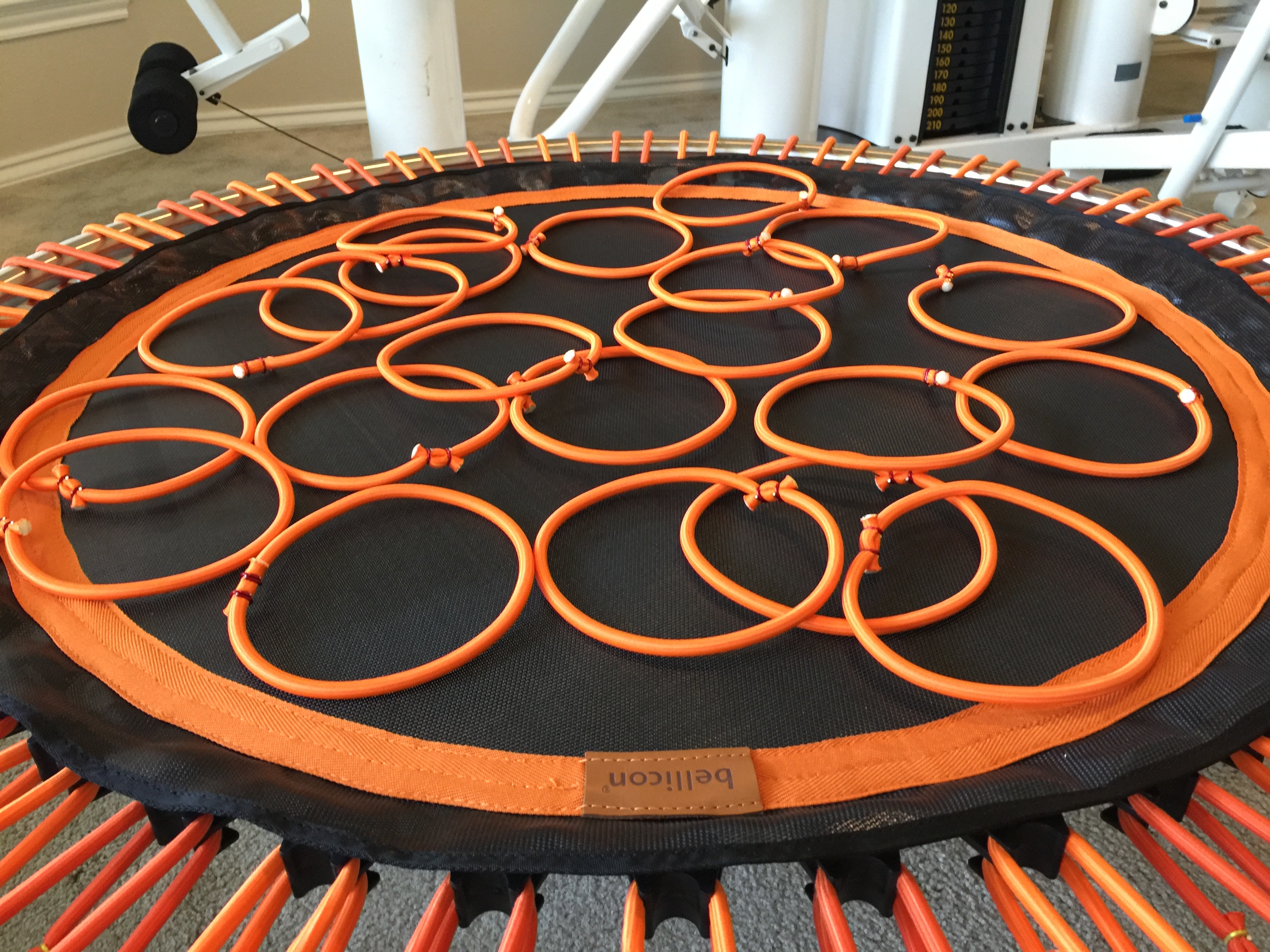 3264x2448 Bellicon Review