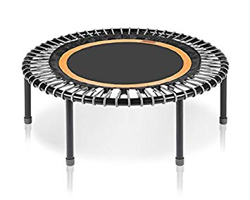 355x284 Bellicon Classic Mini Trampoline With Fold Up