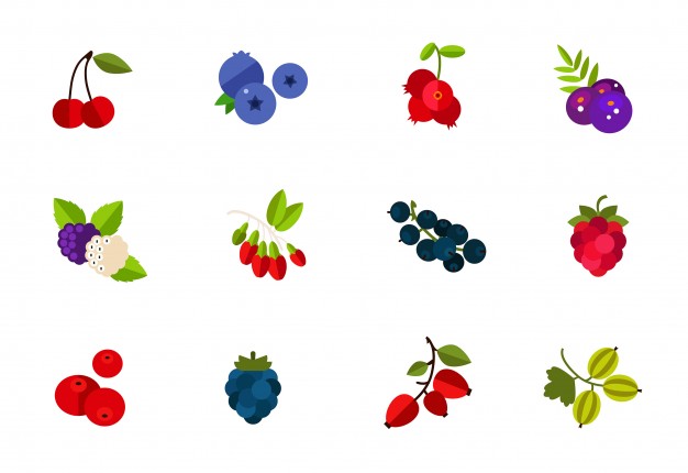 626x430 Berry Vectors, Photos And Free Download