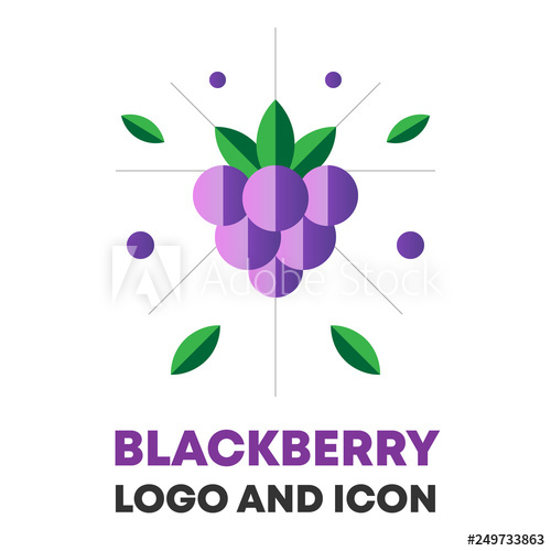 500x500 Blackberry, Berry Vector Blackberry, Berry Icon, Logo Design