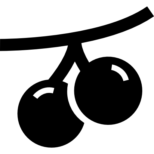 512x512 Christmas Berries Icons Free Download