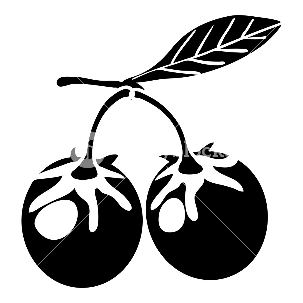 1000x1000 Eco Berry Icon Simple Illustration Of Eco Berry Vector Icon
