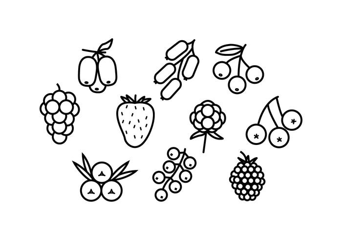 700x490 Free Berries Line Icon Vector