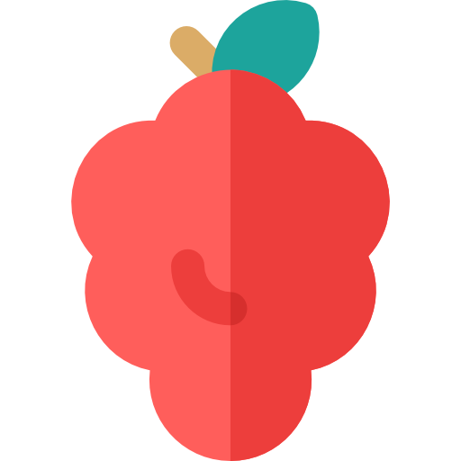 512x512 Berry Icon