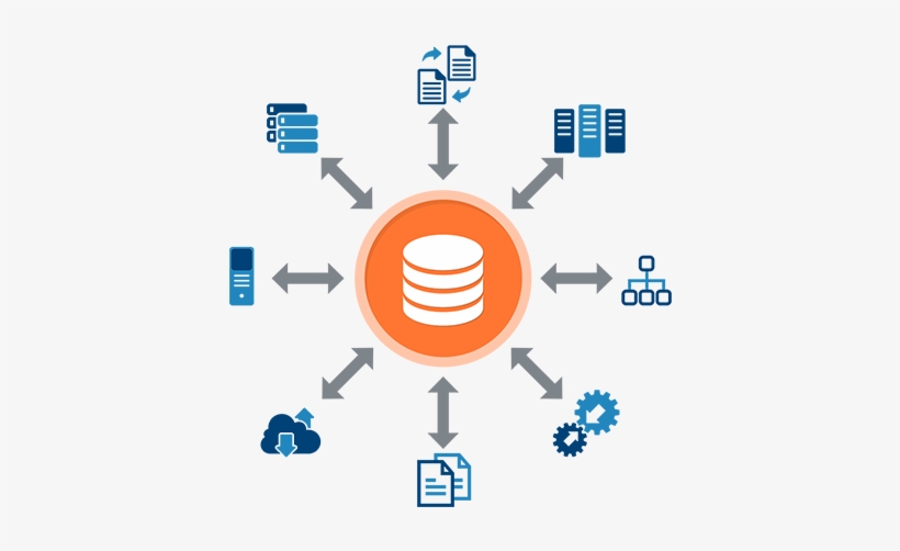 Bi Icon at Vectorified.com | Collection of Bi Icon free ...