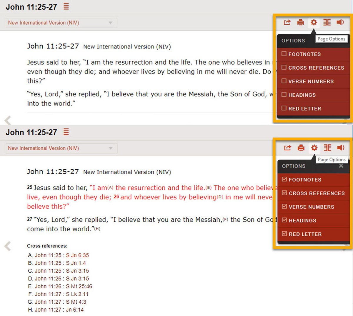 1200x1075 Did You Know That You Can Toggle Bible Reading Features Such As