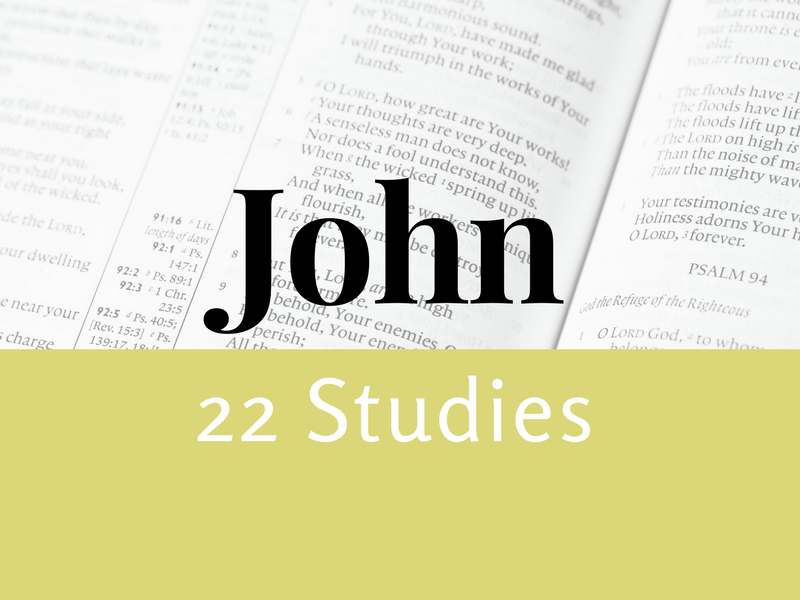 800x600 John Bible Study Icon