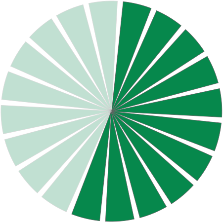 451x450 Filerio De Janeiro Summer Olympics Bid Icon