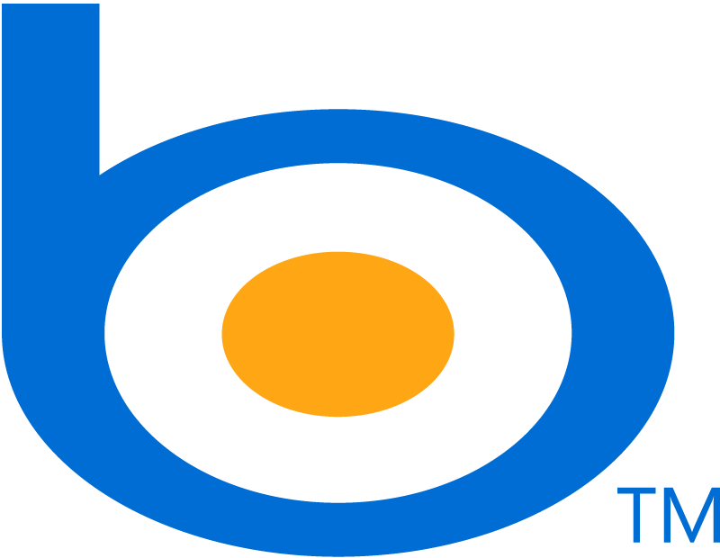 800x620 Blue Bing Icon Logo