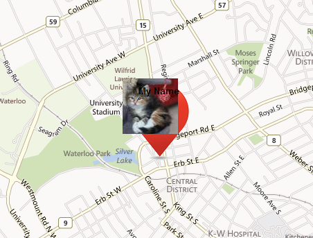 452x343 Custom Pins On Bing Maps With An Image Frame Minds And Machines