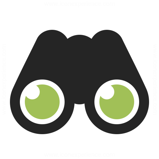 512x512 Binocular Icon Iconexperience