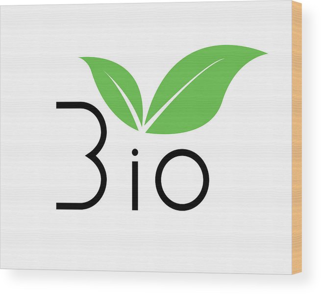 655x600 Bio Icon With Leaf Vector Wood Print