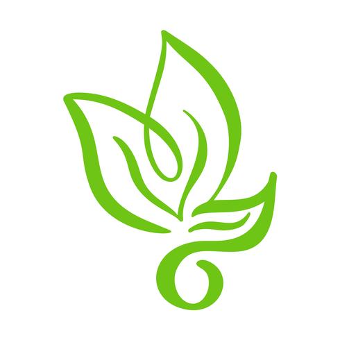 490x490 Logo Of Green Leaf Of Tea Ecology Nature Element Vector Icon Tree
