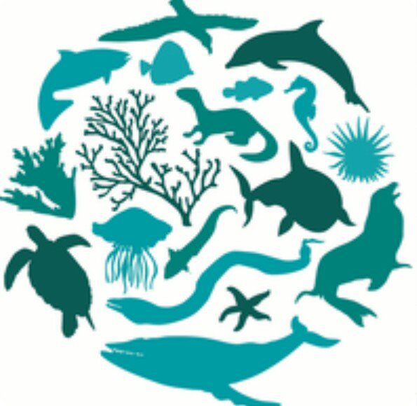 595x580 Biodiversity Icon