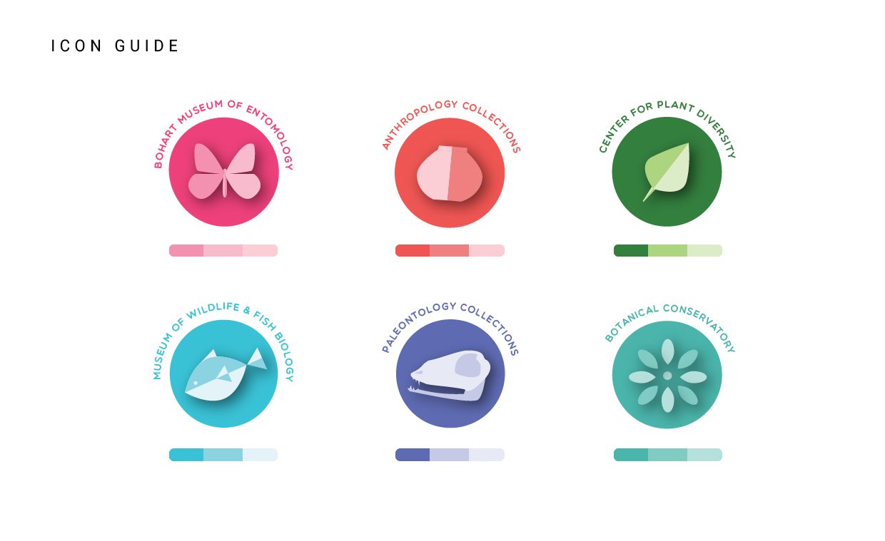 1240x759 Biodiversity Icon