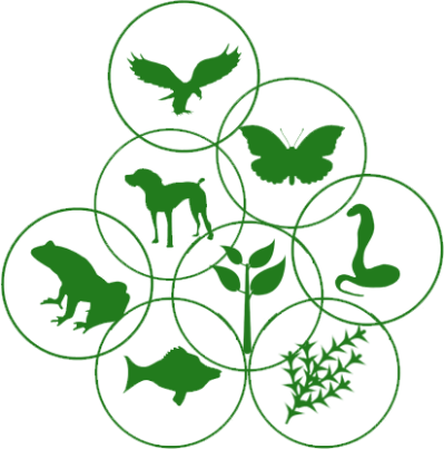 399x403 Free Png Images