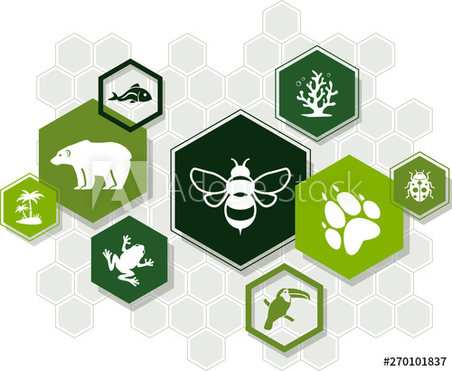 500x410 Biodiversity Icon Concept Endangered Species Biological