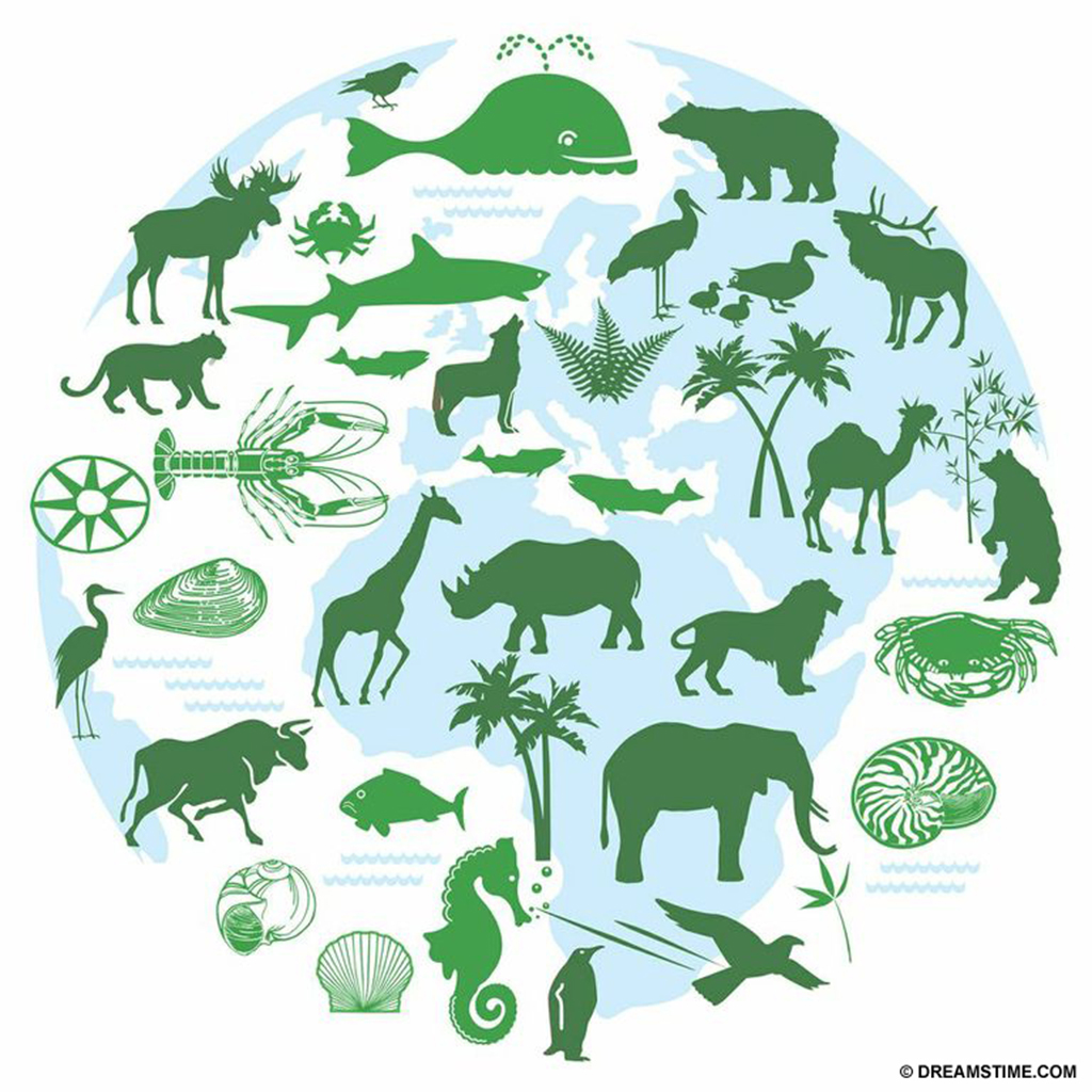 1024x1024 Biodiversity